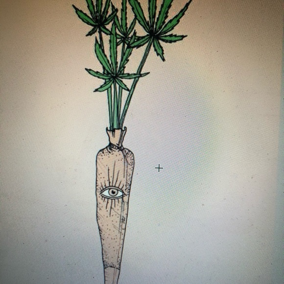 Meet your Posher, Caroline - Picture 2 of 3